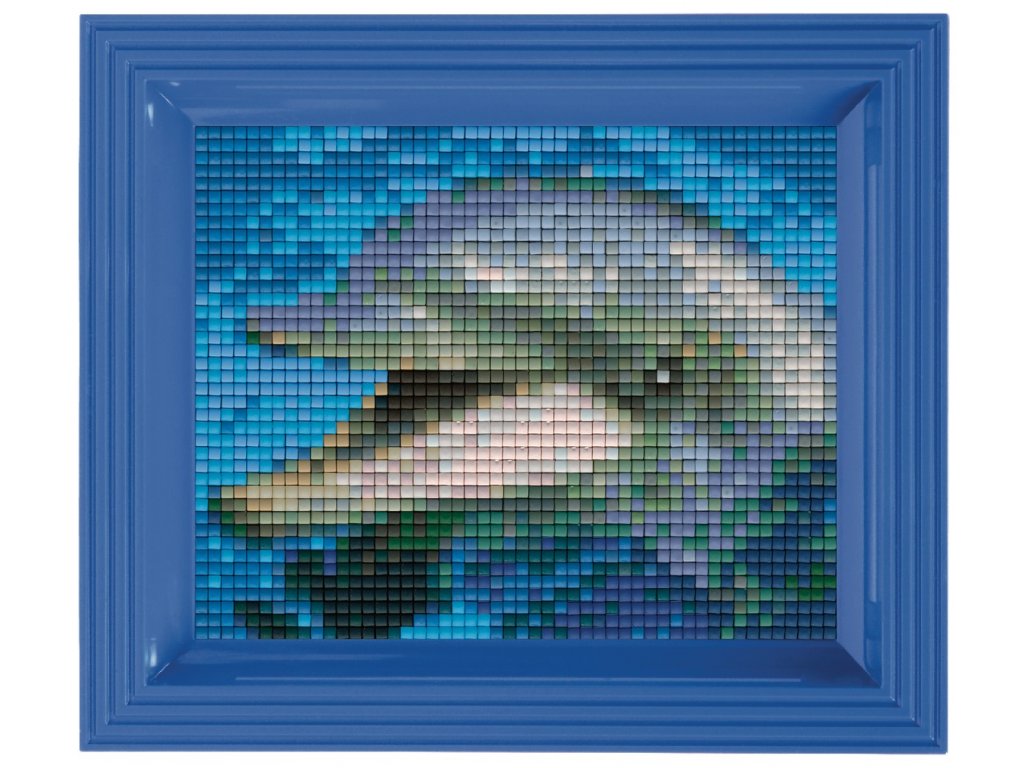 1204 obrazek s rameckem 39 barev delfin